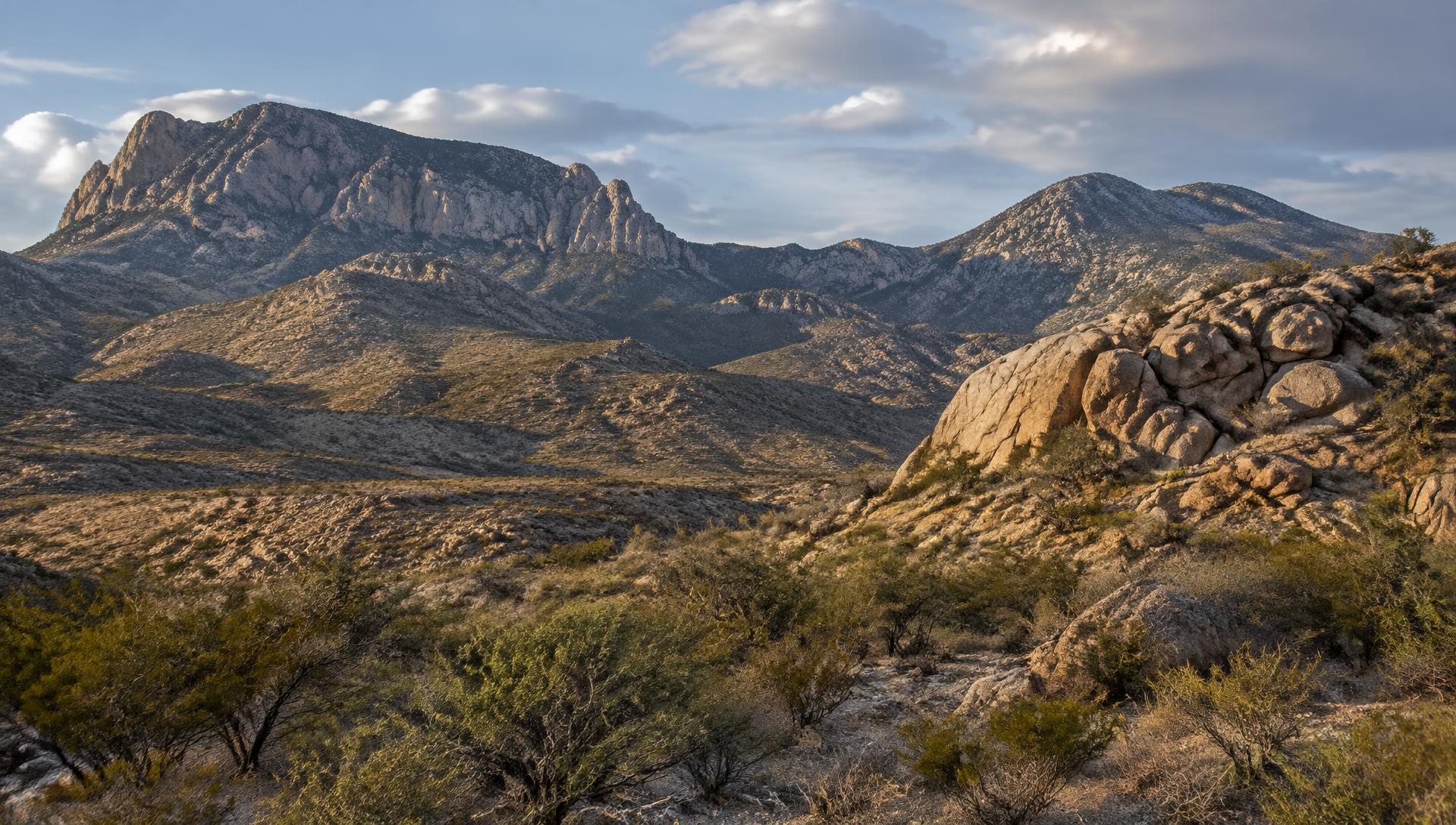 Desert mountains of southwestern New Mexico